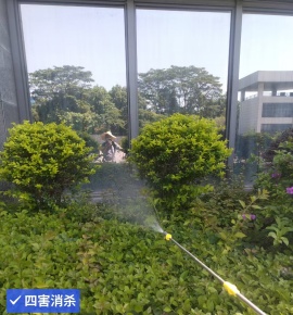 c9ad32b37d316da014c9b8d1e71564e.jpg